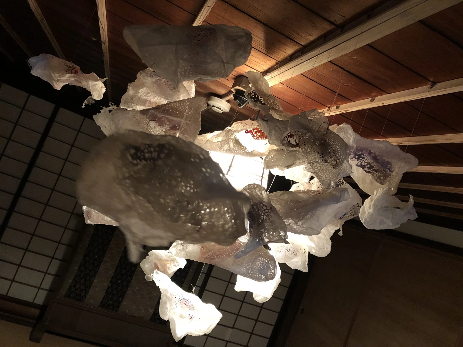 あさのゆき 作品・展示イメージ