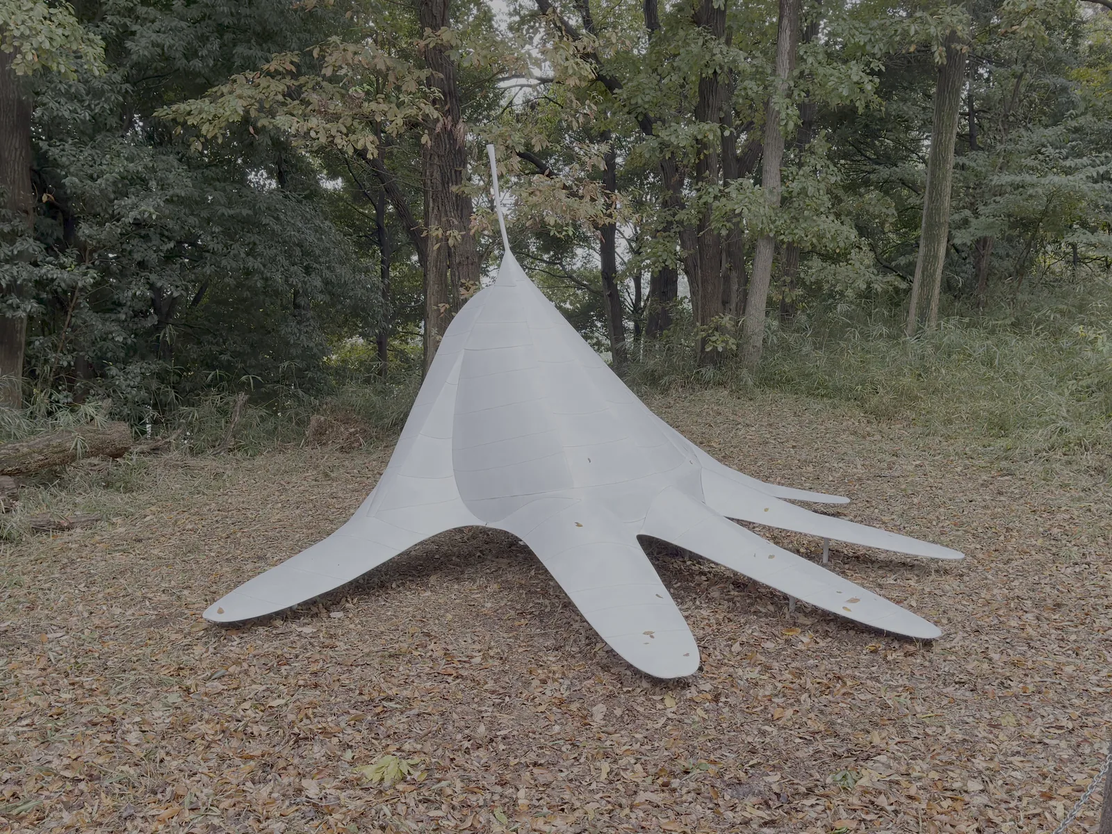 長谷川 創 作品・制作風景 1