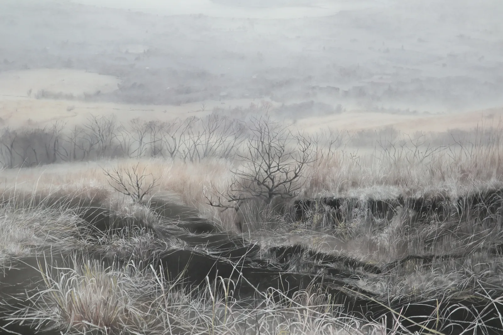 廣島有華 作品・制作風景 1