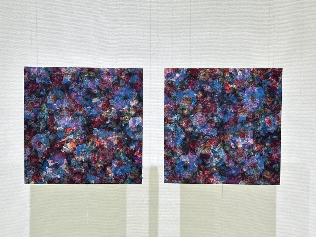 加藤良次 作品・展示イメージ