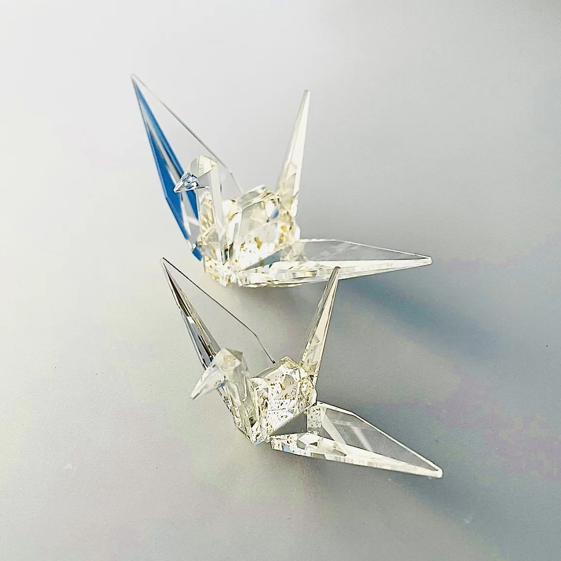 大寄智彦 作品・展示イメージ
