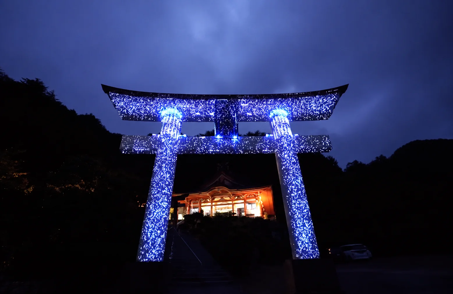 多田朱利 作品・展示イメージ