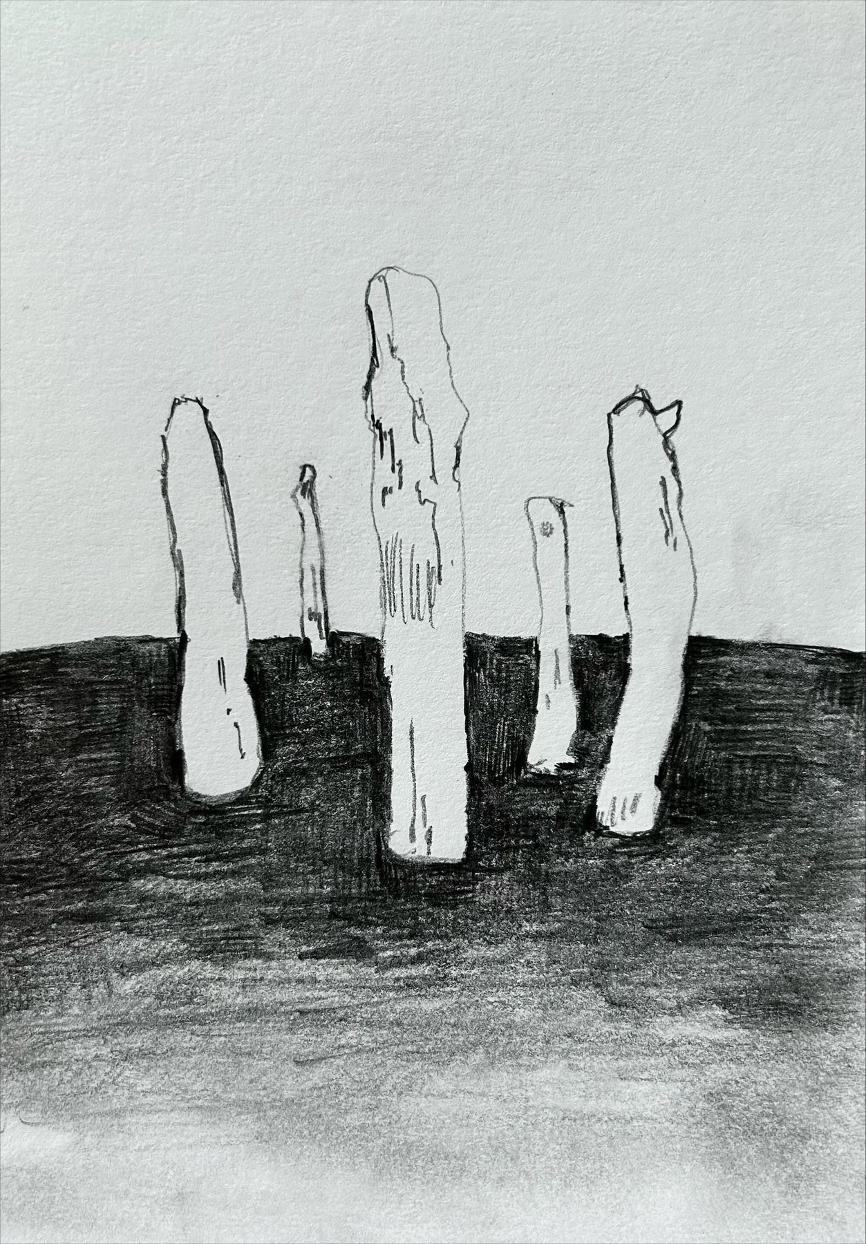 髙木健一 作品・展示イメージ